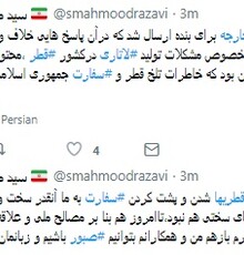 واکنش توییتری محمود رضوی به پاسخ وزارت امورخارجه به هادی حجازی‌فر