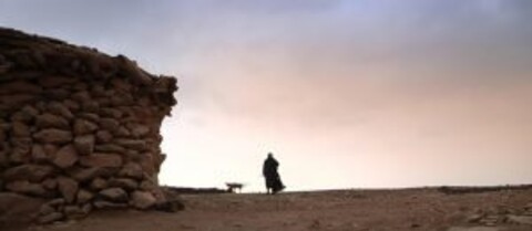 فیلم/ شانس یک مستند ایرانی برای کسب اسکار/ قصه زنی که نانش را از زیر سنگ در می آورد