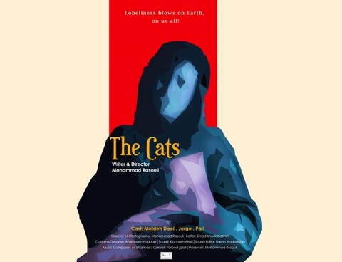 فیلم کوتاه «گربه‌ها» در جشنواره آمریکایی