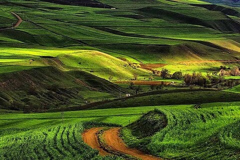 هشدار نسبت به تخریب محیط‌ زیست در یک مستند