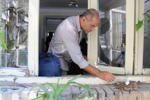 «دریا نزدیک است» در راه بوشهر