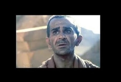 دیالوگ: روز واقعه