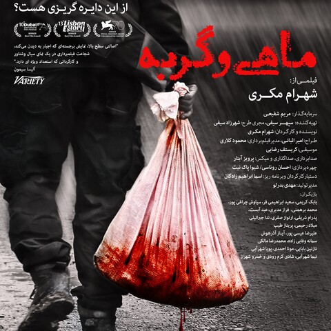 «ماهی و گربه» به شبکه نمایش خانگی رسید
